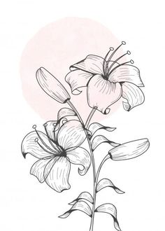 a black and white drawing of flowers on a light pink background with the sun behind it