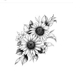 black and white drawing of three sunflowers