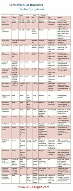 a table that has different types of food and drinks on it, with the names of each