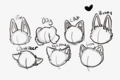 some animal ears drawn in different ways