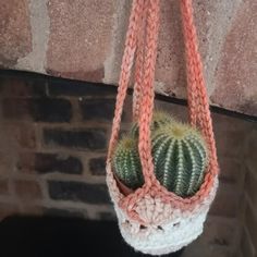 a crocheted hanging planter with a cactus in it