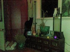 a cat sitting on top of a wooden dresser next to a mirror and vases