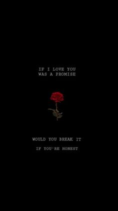 a red rose on a black background with the words, if i love you was a prom