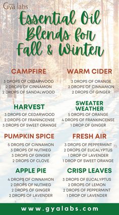 Fall Scents Essential Oils, Best Essential Oil Blends, Fall Essential Oil Blends, Fall Essential Oils, Essential Oils Guide, Essential Oils Herbs, Essential Oil Diffuser Recipes