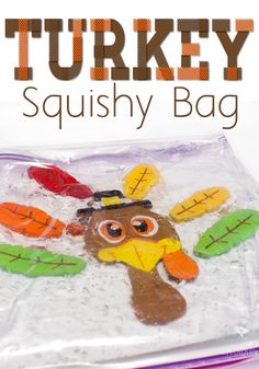 the turkey squishy bag is made from plastic