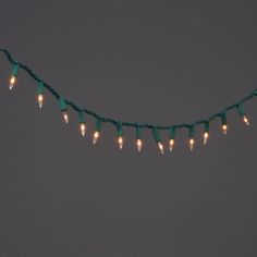 These adorable 100-Count Incandescent Smooth Mini Christmas String Lights from Wondershop™ make a fun and festive addition to your indoor or outdoor holiday decor. Featuring 100 incandescent lights in miniature bulbs, this string light strand measures 21.12 feet in total length and requires an electric power source. They're strung on wires that'll blend effortlessly into your Christmas tree or other plants so only the lights show, and they come with a 1-year limited warranty so you don't have to Outdoor Snowflake Lights, Christmas Pathway Lights, Blue String Lights, Holiday Table Centerpieces, Twinkle String Lights, Mini String Lights, Bulbs Indoor, Large Balloons, Outdoor Holidays