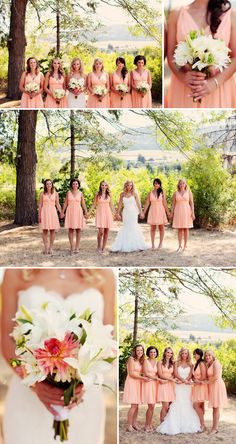 the bride and her bridal party are posing for pictures