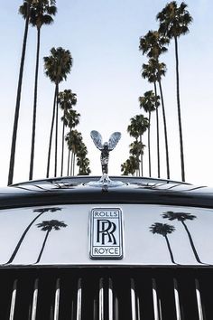 a car with palm trees in the background and an emblem on it's hood