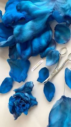 some blue flowers and scissors on a white table with it's petals still attached