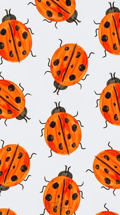 an orange and black ladybug pattern on a white background