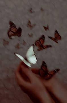 a person's hand holding a white butterfly in front of several brown and white butterflies