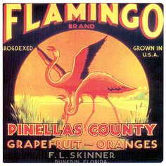 a label for flamingo brand with an image of a bird in flight and the words, pinellas county grapefruit - oranges