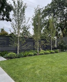 a black fence and some trees in the grass