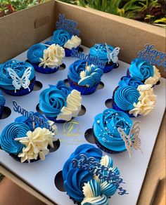 blue cupcakes with white frosting in a box