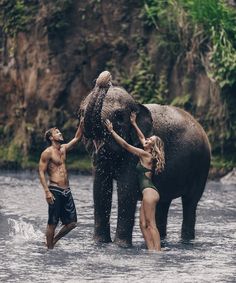 two people standing in the water with an elephant and another person reaching out to touch it