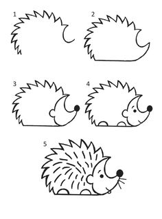 how to draw hedges step by step for kids and beginners with easy instructions