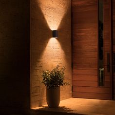 a plant is lit up on the steps in front of a door with a light coming from it