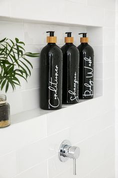 three black bottles with white writing on them are hanging from the wall next to a potted plant