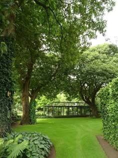 a lush green park filled with lots of trees