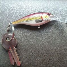 a fish shaped keychain with keys attached to it