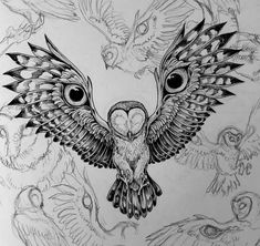 an owl is flying through the air with its wings spread out and it's eyes open