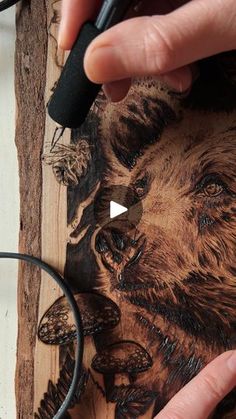 a person is drawing a bear on a piece of wood with a pen and scissors