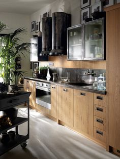 a kitchen filled with lots of wooden cabinets and counter top space next to a potted plant