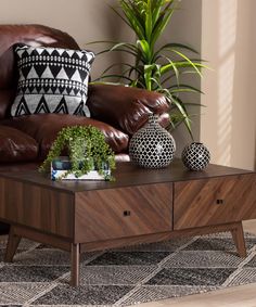 a living room with a couch, coffee table and potted plant on the floor