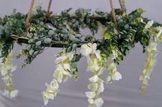 some white flowers and green leaves hanging from a rope