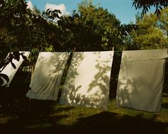 three white towels are hanging on a clothesline in the sun, with trees behind them