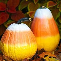 two orange and white pumpkins sitting on top of leaves in front of some bushes