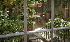 an outdoor patio with potted plants on the table and in the distance is a dining area