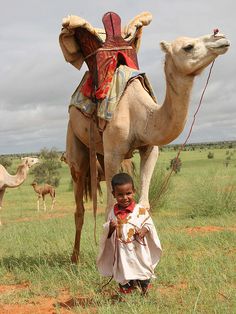 a young boy standing next to a camel in the grass with other animals behind him