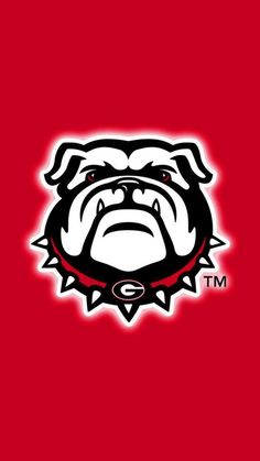 the bulldog logo on a red background with black and white trimmings, which is also