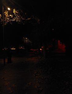 a dark street at night with the lights on and trees in the foreground lit up