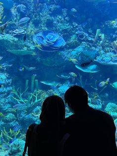 two people standing in front of an aquarium looking at the fish and corals inside