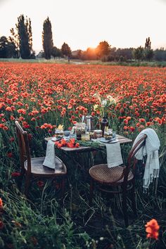 two wooden chairs sitting at a table in a field full of red flowers with the sun setting behind them