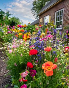 a garden filled with lots of colorful flowers next to a brick building on a sunny day