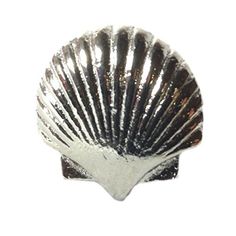 Vintage Seascape Shell Drawer Cabinet Cupboard Pull Knob (Scallop Shell - Silver/Pewter) - Mellow Monkey Kitchen Greenhouse, Kitchen Cabinet Hardware Knobs, Wood Cabinet Knobs, Scallop Shell, Drawer Cabinet, Ceramic Knobs, Scallop Shells, Cabinet Cupboard, Folding Doors