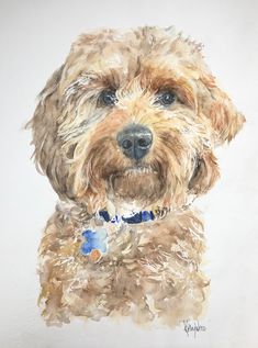 a watercolor painting of a brown dog with blue eyes and a collar on it's neck