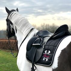 a white and black horse standing on top of a lush green field