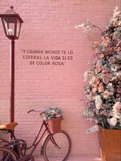 a bicycle parked next to a pink brick wall with flowers in the basket and a lamp post