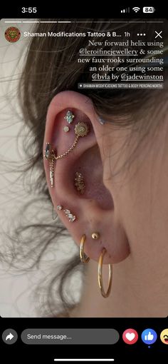 the ear is adorned with many different types of piercings