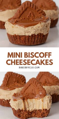 mini biscoff cheesecakes with chocolate frosting in the middle and on top