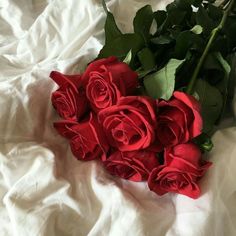 a bunch of red roses laying on top of a white sheet