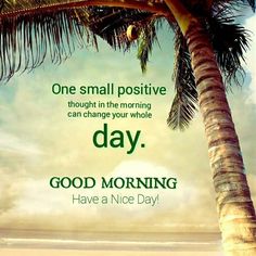 a palm tree with the words, one small positive thought in the morning can change your whole day good morning have a nice day