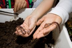 two children are holding their hands out in the dirt with worms crawling on top of them