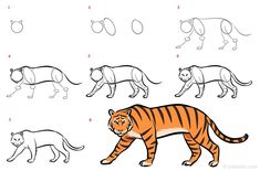 an image of different types of tigers on the same page as shown in this step - by - step drawing lesson