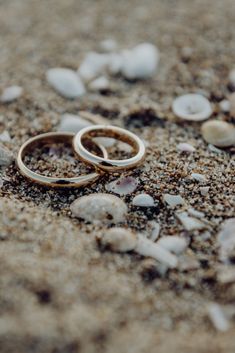 two gold wedding rings on the sand with seashells in the backgroud