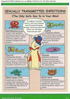 STI cartoon: sti lecture Nursing Assessment, Ob Nursing